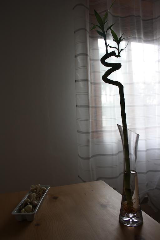 I Due Orfici Bed and Breakfast Cona  Εξωτερικό φωτογραφία